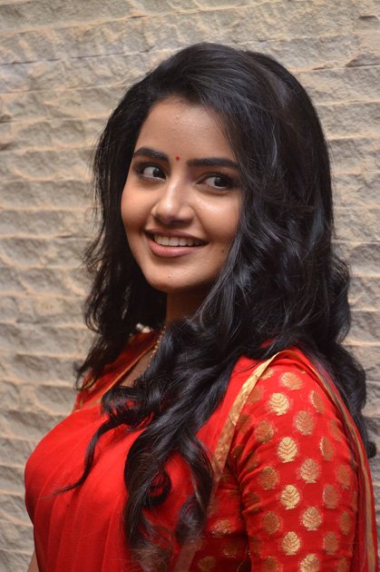 Anupama-Parameswaran-at-Shatamanam-Bhavati-Movie-Success-Meet